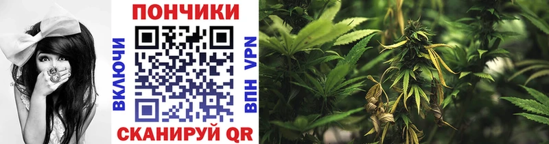 Альфа ПВП Корсаков