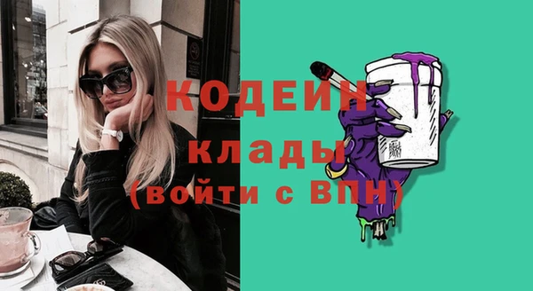ешки Корсаков