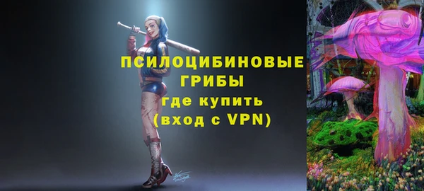 2c-b Костерёво