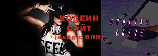 ешки Корсаков