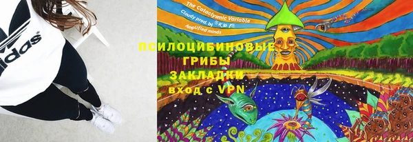 мет Коряжма