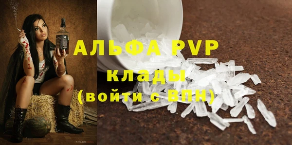 ешки Корсаков